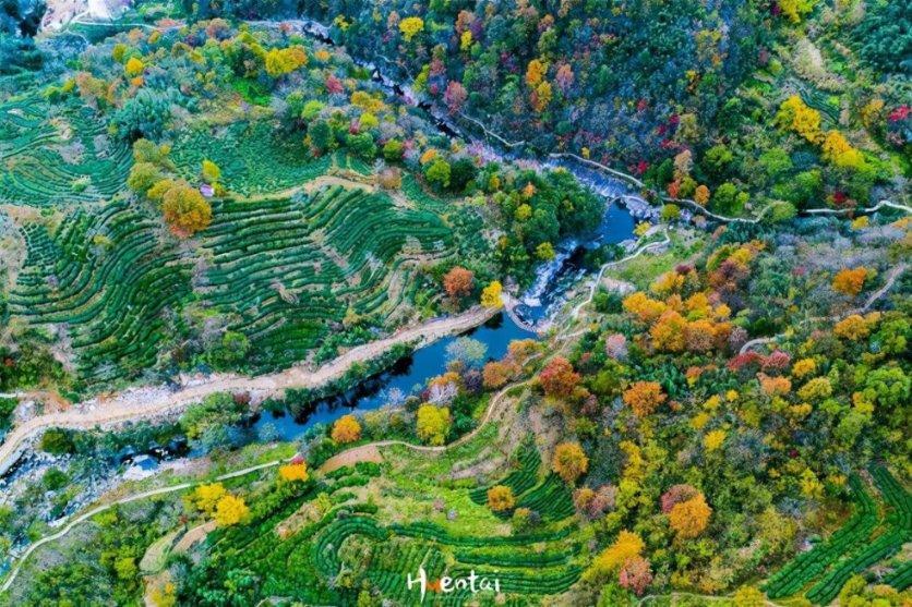 手总是控制不住的抖动是怎么回事？游戏画面