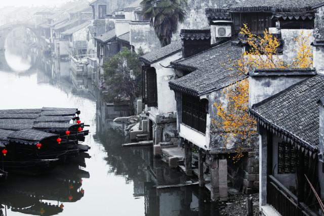 动物帮帮忙保卫家园